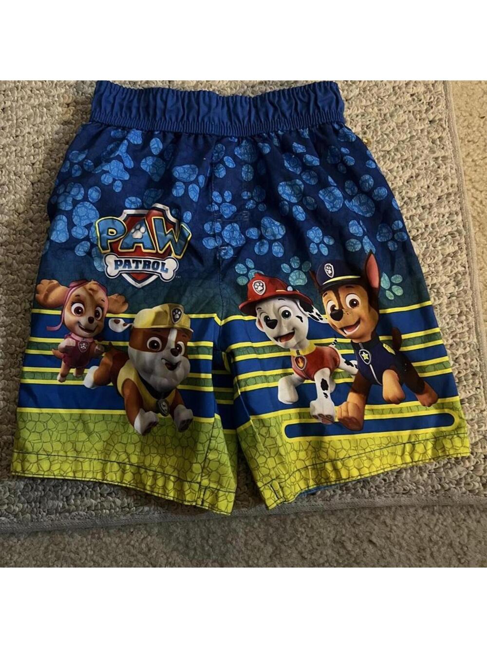 Nickelodeon Kid's Multi and Blue Swim-briefs-short